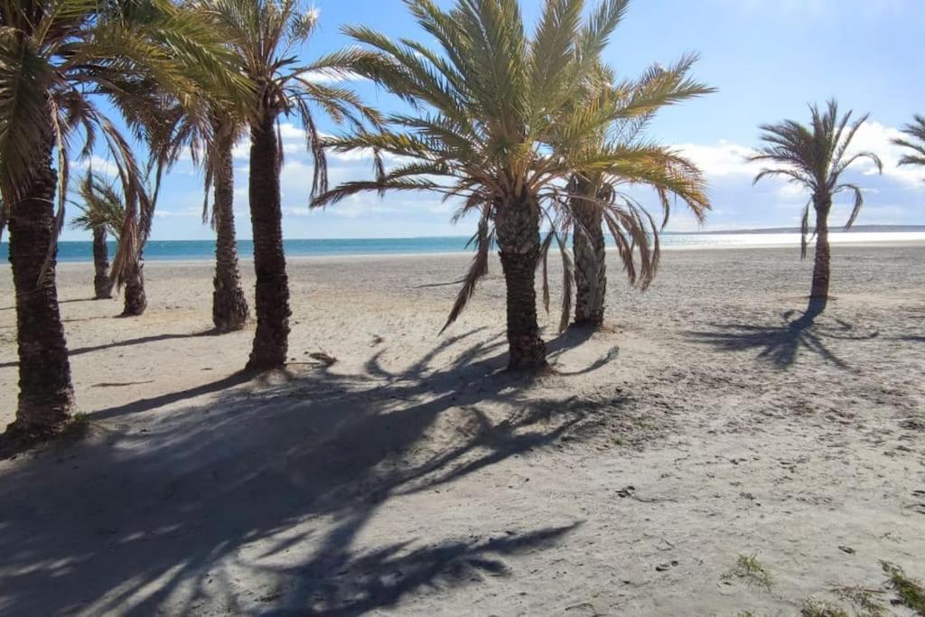 Villa Adosado Con Piscina Al Lado De La Playa à Santa Pola Extérieur photo